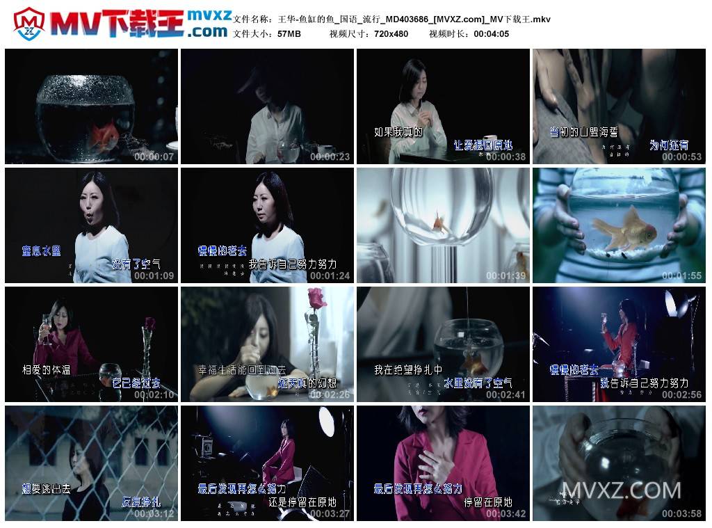 王华-鱼缸的鱼_国语_流行_MD403686